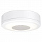 Потолочный светодиодный светильник Paulmann LightSound 92096