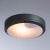 Уличные потолочные Arte Lamp City A8154PF-2GY  фото, kupilegko.ru