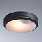 Уличные потолочные Arte Lamp City A8154PF-2GY  фото, kupilegko.ru