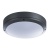Уличные потолочные Arte Lamp City A8154PF-2GY  фото, kupilegko.ru