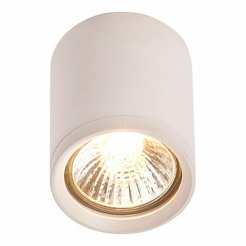 Потолочный светильник IMEX IL.0005.5015  фото, kupilegko.ru