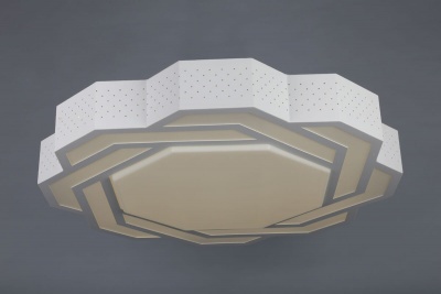 Потолочный светодиодный светильник Omnilux OML-43607-59  фото, kupilegko.ru