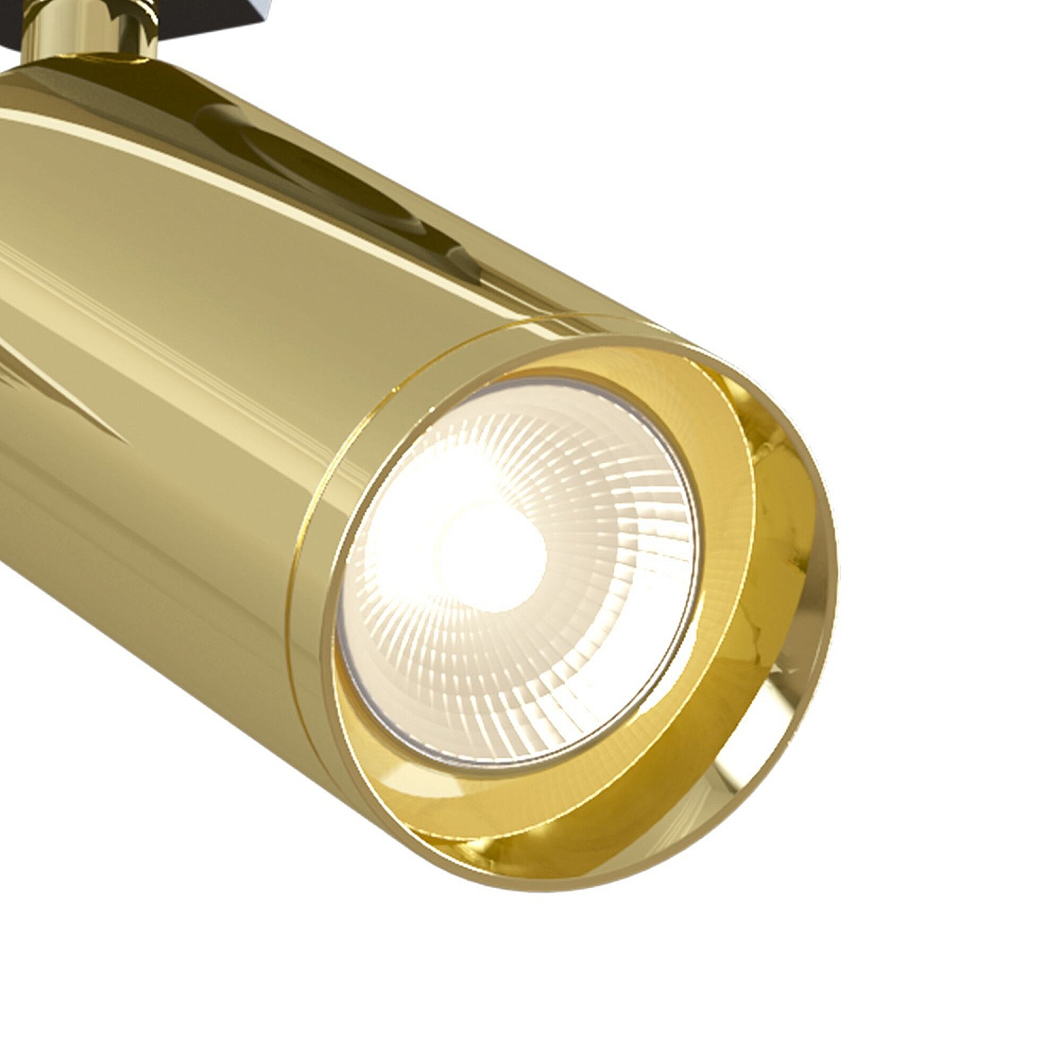 Трековые светильники Maytoni Track TR004-1-GU10-G  фото, kupilegko.ru