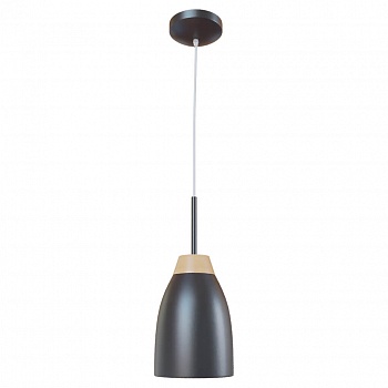 Подвесной светильник Loft IT Watchman Loft4402A-Bl  фото, kupilegko.ru