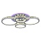 Потолочная светодиодная люстра Profit Light 8052/2+2 CHR  фото, kupilegko.ru