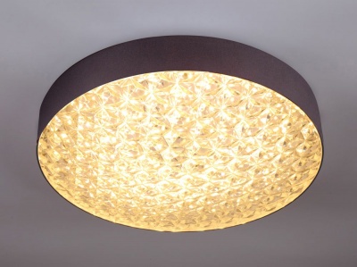 Потолочный светодиодный светильник Escada 10246/1LED  фото, kupilegko.ru