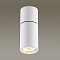 Потолочный светильник Odeon Light Duetta 3582/1C