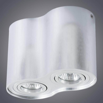 Потолочный светильник Arte Lamp A5644PL-2SI  фото, kupilegko.ru