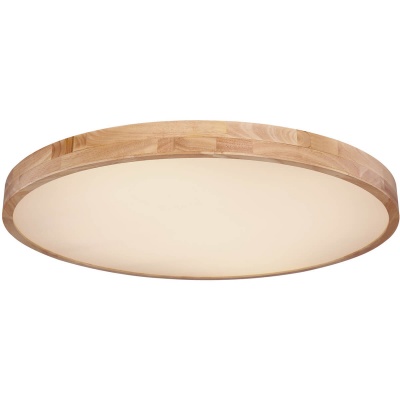 Потолочный светодиодный светильник Globo Rainer 41745-60  фото, kupilegko.ru