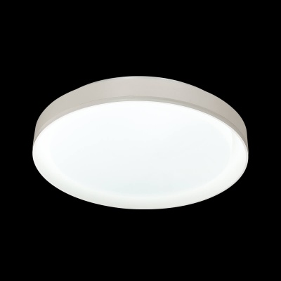 Настенно-потолочный светильник Sonex Bionic 3030/EL  фото, kupilegko.ru
