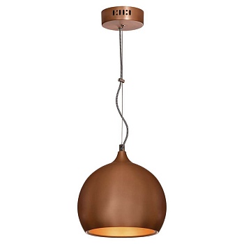 Подвесной светильник Lussole Loft LSN-6106-01  фото, kupilegko.ru