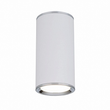 Потолочный светильник Elektrostandard DLN101 GU10 WH белый 4690389135859  фото, kupilegko.ru