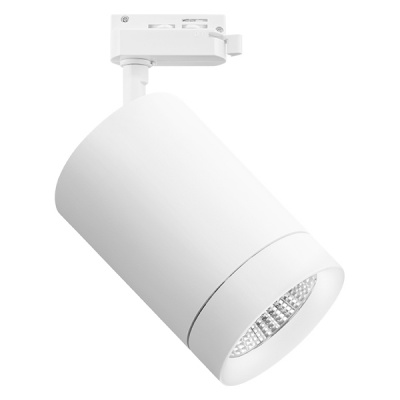 Трековый светильник Lightstar Canno 303264  фото, kupilegko.ru
