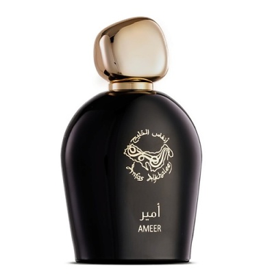 Парфюмерная вода ANFAS ALKHALEEJ Ameer 122200807 LT  фото, kupilegko.ru