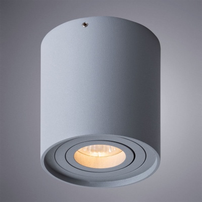 Потолочный светильник Arte Lamp Falcon A5645PL-1GY  фото, kupilegko.ru