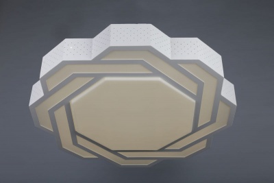 Потолочный светодиодный светильник Omnilux OML-43607-59  фото, kupilegko.ru