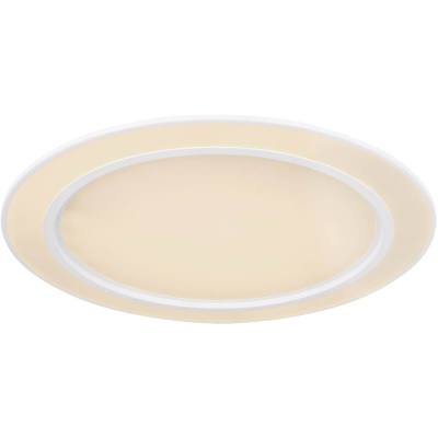 Потолочный светодиодный светильник Globo Dahla 48549-60  фото, kupilegko.ru