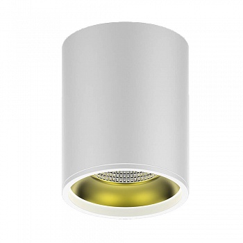 Потолочный светодиодный светильник Gauss Overhead HD010  фото, kupilegko.ru