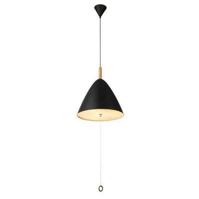 Подвесной светильник Globo Pura 15325B  фото, kupilegko.ru