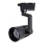 Трековые светильники Arte Lamp Wales A1613PL-1BK  фото, kupilegko.ru