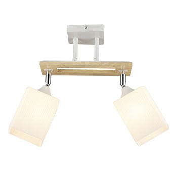 Потолочный светильник Wedo Light Sterr 66769.01.09.02  фото, kupilegko.ru