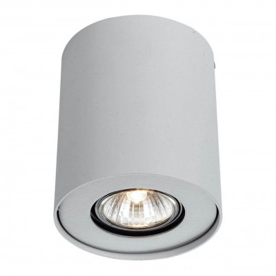 Потолочный светильник Arte Lamp Falcon A5633PL-1WH  фото, kupilegko.ru