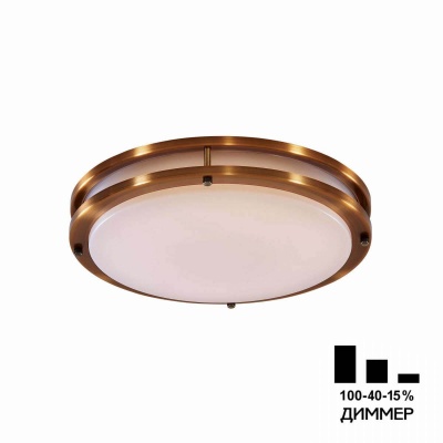 Накладной светодиодный светильник Citilux Бостон CL709323N  фото, kupilegko.ru