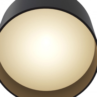 Потолочный светодиодный светильник Maytoni Planet C009CW-L12B  фото, kupilegko.ru