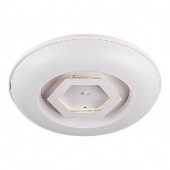 Потолочный светодиодный светильник Escada 10254/S LED  фото, kupilegko.ru