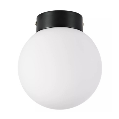 Настенно-потолочный светильник Lightstar Globo 812017  фото, kupilegko.ru