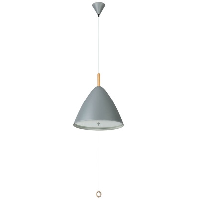 Подвесной светильник Globo Pura 15325G  фото, kupilegko.ru