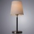 Настольная лампа Arte Lamp Rodos A2589LT-1SS  фото, kupilegko.ru