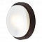 Настенный светильник Odeon Light Holger 2744/2C