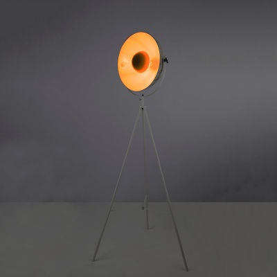 Торшер Globo Sandra 58323M  фото, kupilegko.ru