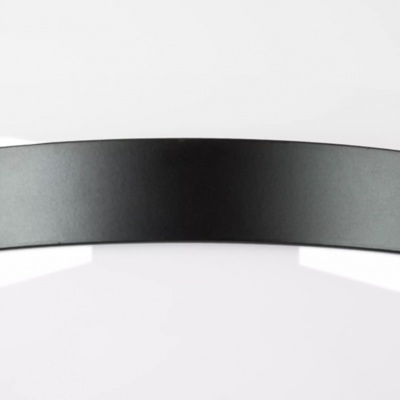 Настенно-потолочный светильник Lightstar Globo 812117  фото, kupilegko.ru