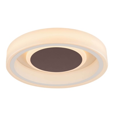 Потолочный светодиодный светильник Globo Goffi 48398-24  фото, kupilegko.ru