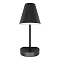 Бра, светильник настенный накладной Loft IT 10216/1W Black  фото, kupilegko.ru