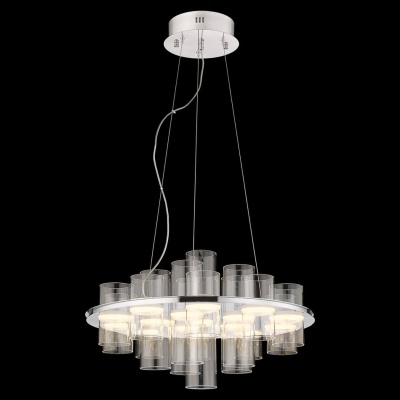 Подвесная светодиодная люстра Wertmark WE157.16.103  фото, kupilegko.ru