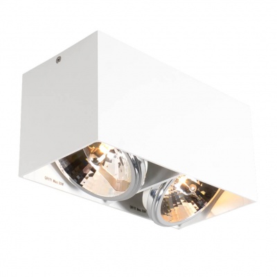 Потолочный светильник Zumaline Box sl2 89949-G9  фото, kupilegko.ru