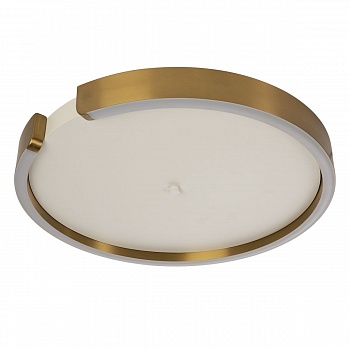 Потолочный светодиодный светильник Loft IT Ring 10026  фото, kupilegko.ru