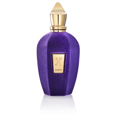 Женская парфюмерная вода XERJOFF Accento 103300010 LT  фото, kupilegko.ru