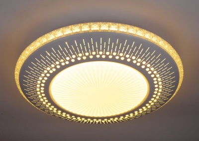 Потолочный светодиодный светильник Escada 10213/1LED  фото, kupilegko.ru