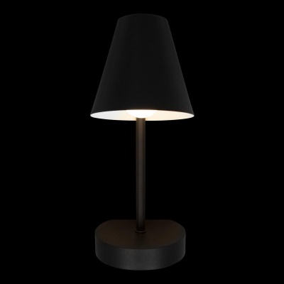 Бра, светильник настенный накладной Loft IT 10216/1W Black  фото, kupilegko.ru