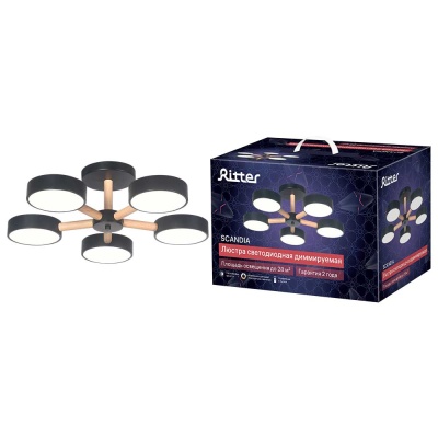Потолочная люстра Ritter SCANDIA 51592 4  фото, kupilegko.ru