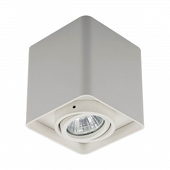 Потолочный светильник Zumaline Quadry sl 1 20039-WH  фото, kupilegko.ru