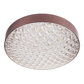 Потолочный светодиодный светильник Escada 10246/1LED  фото, kupilegko.ru