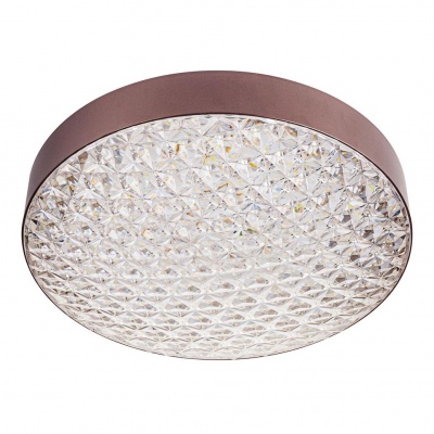 Потолочный светодиодный светильник Escada 10246/1LED  фото, kupilegko.ru