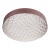 Потолочный светодиодный светильник Escada 10246/1LED  фото, kupilegko.ru