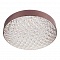 Потолочный светодиодный светильник Escada 10246/1LED