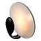 Настенный светильник iLedex Spoon ZD8096S-6W BK